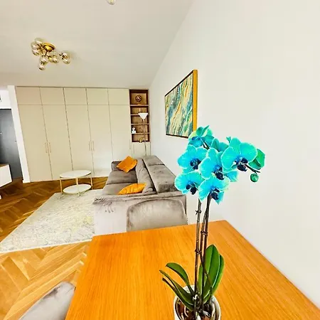 Bel Dom - The Central, Spacious 2 Luxury * Cluj-Napoca