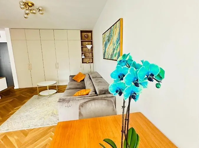 Bel Dom - The Central, Spacious 2 Luxury * Kluż-Napoka